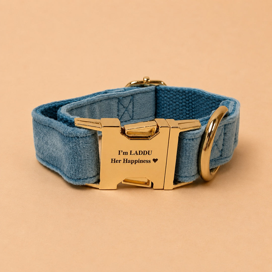 Engraved Pet Collar