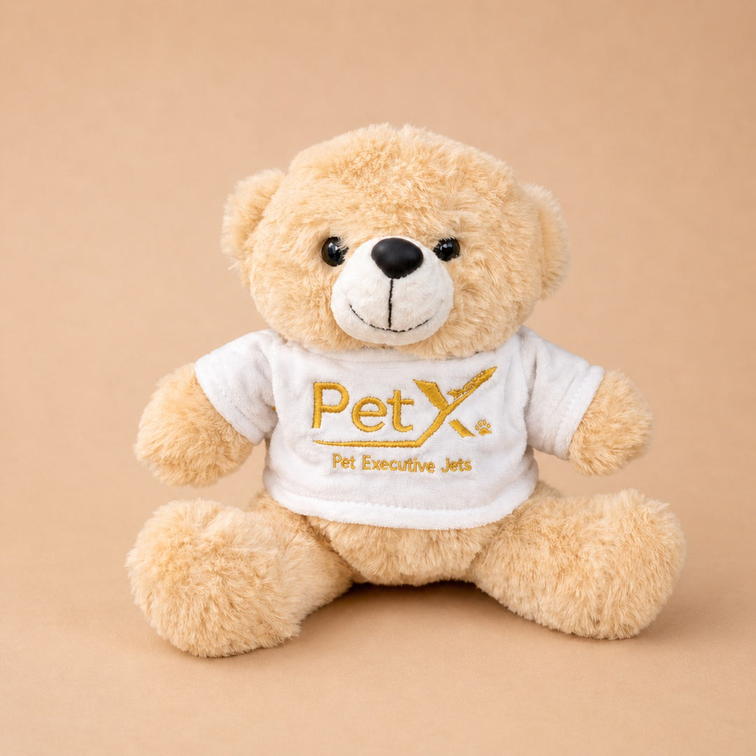 Custom Teddy Bear