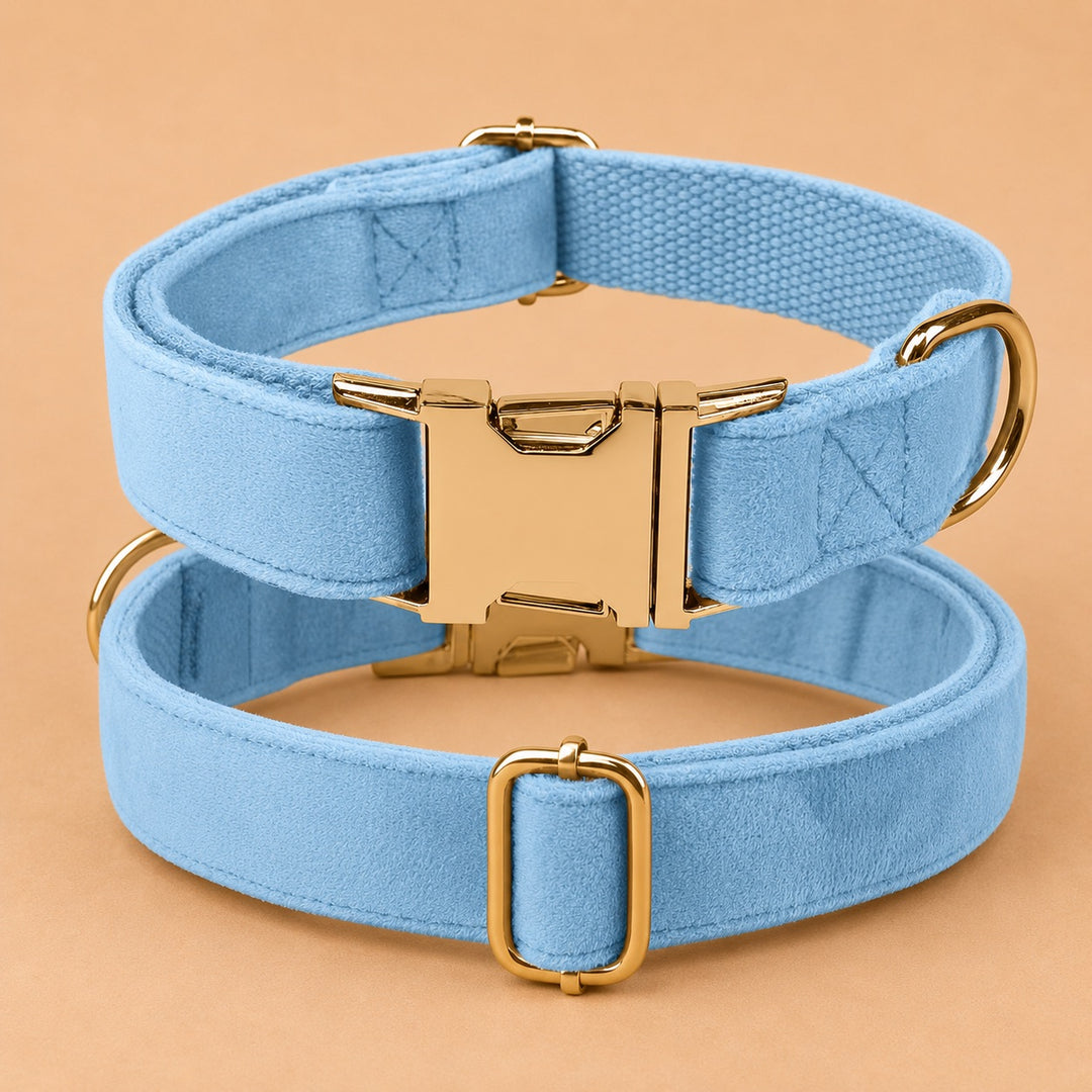 Engraved Pet Collar