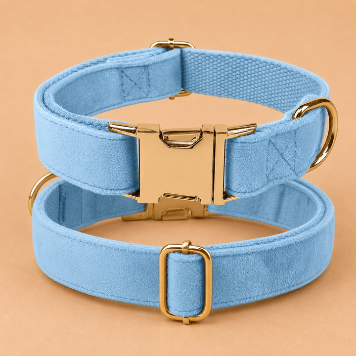 Engraved Pet Collar