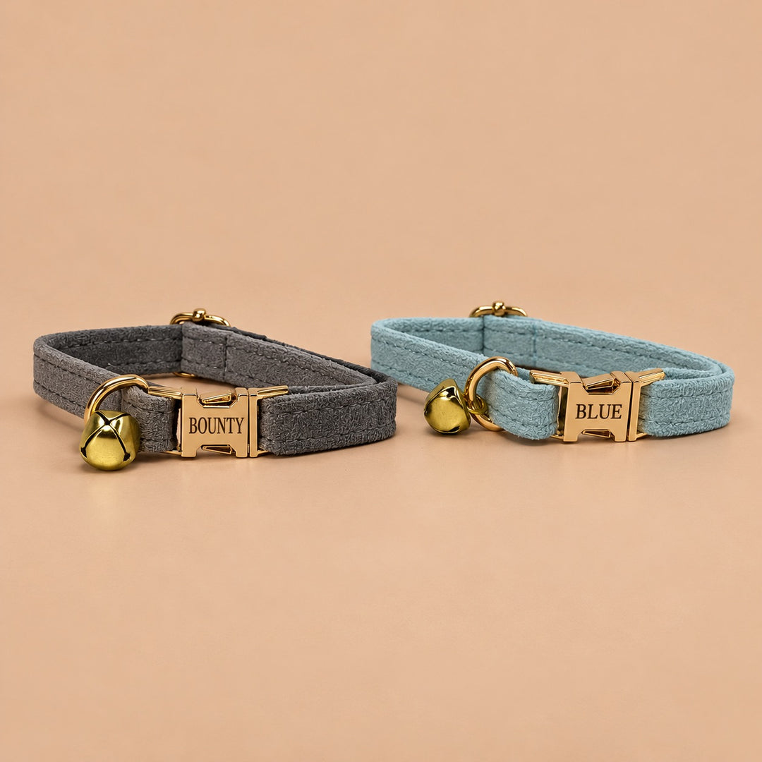 Engraved Pet Collar