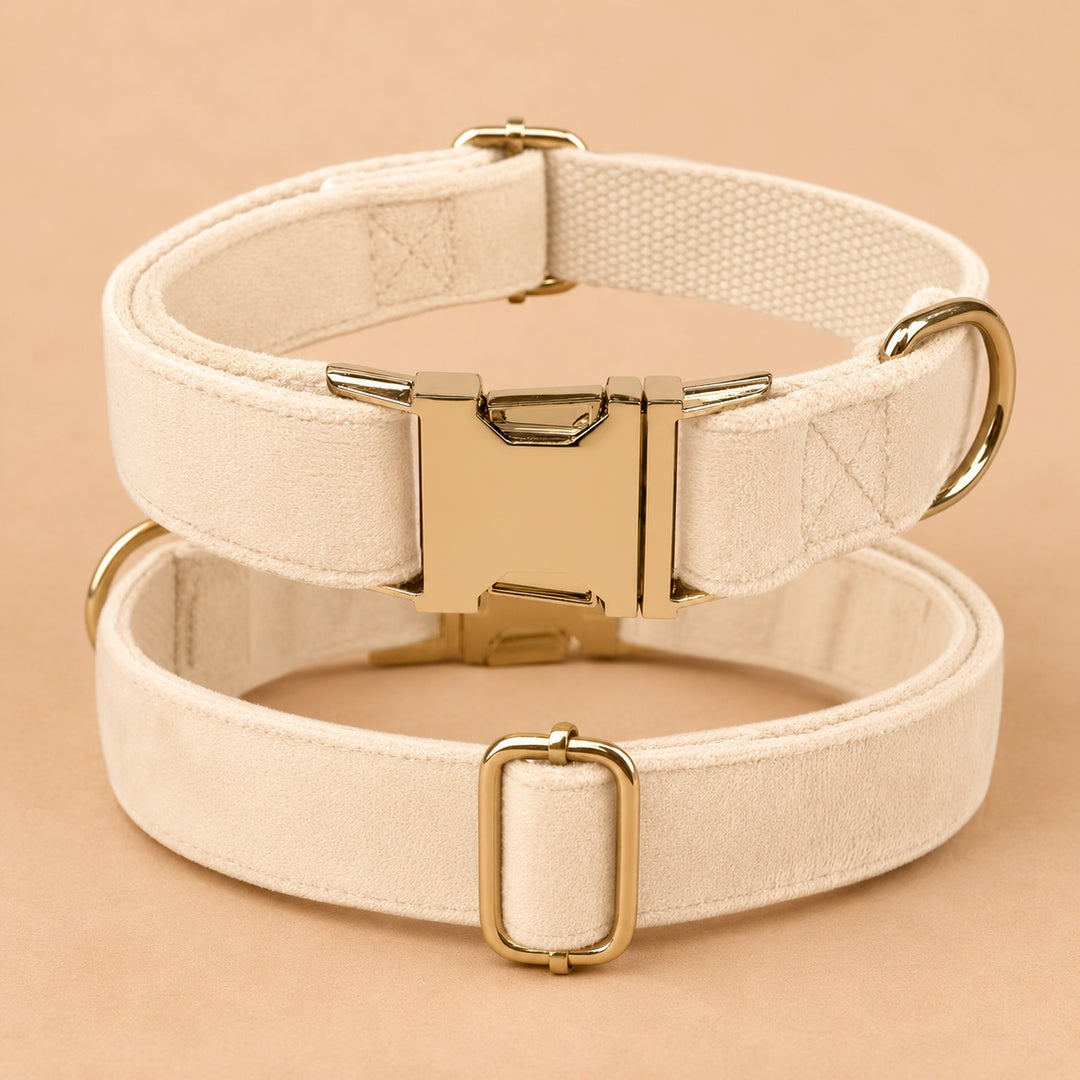 Engraved Pet Collar