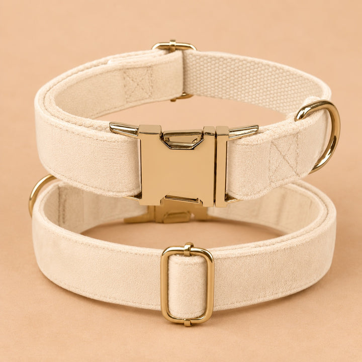 Engraved Pet Collar
