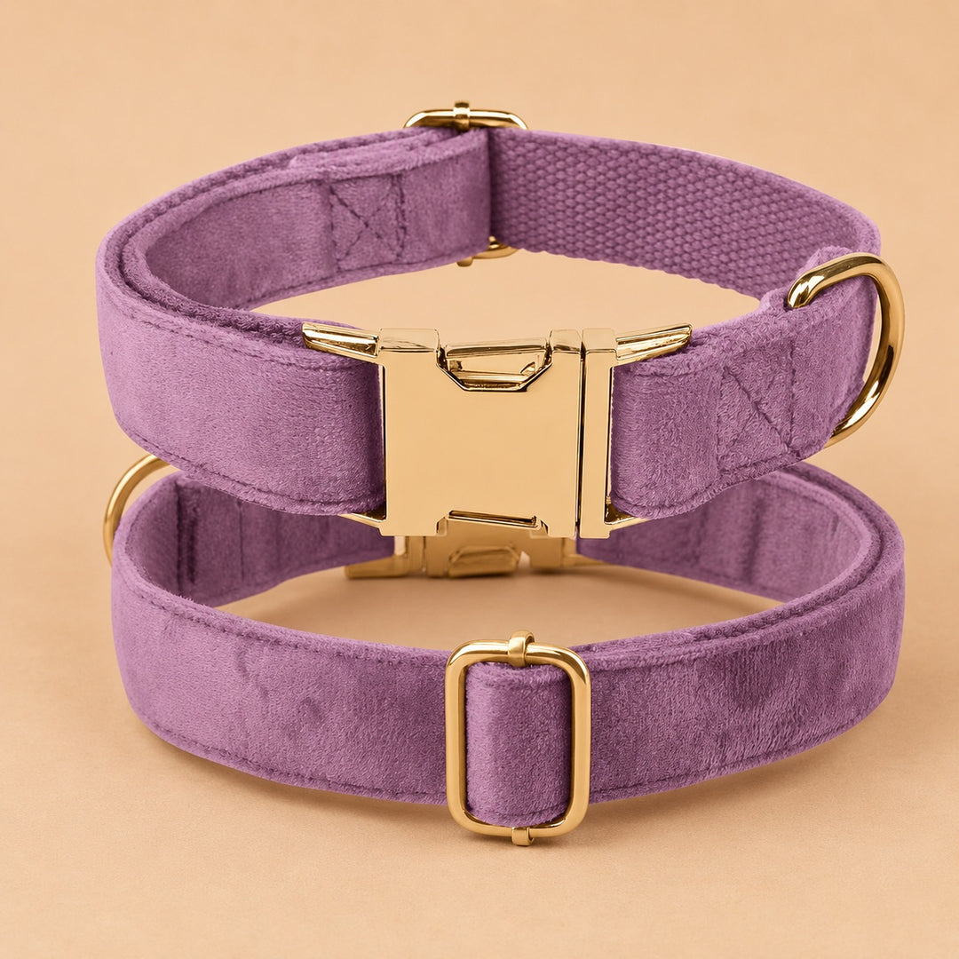 Engraved Pet Collar