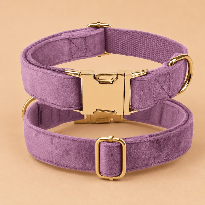 Engraved Pet Collar