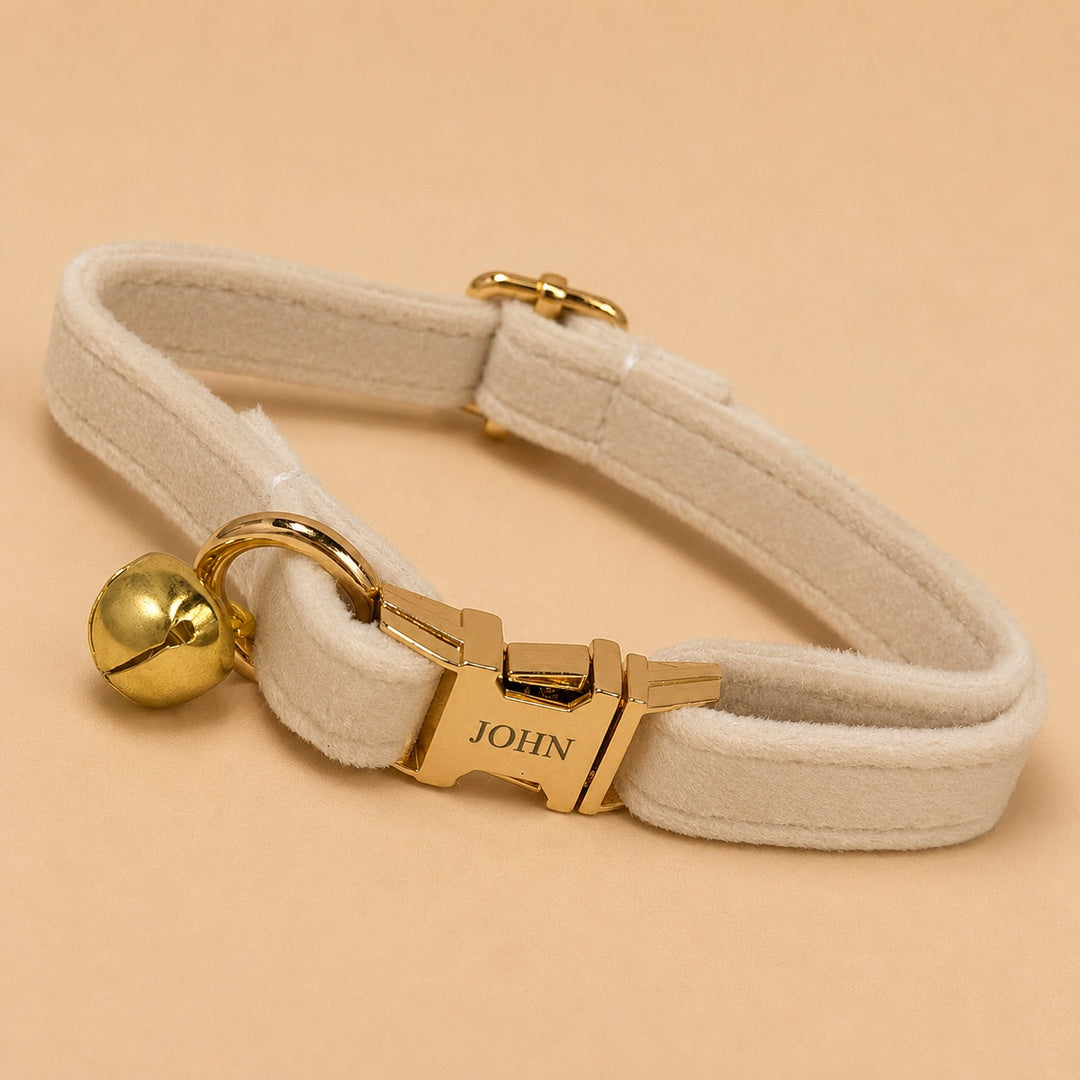 Engraved Pet Collar