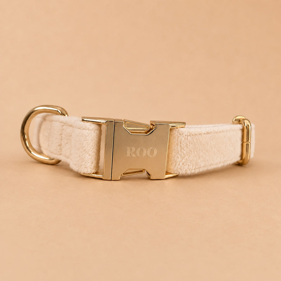 Engraved Pet Collar