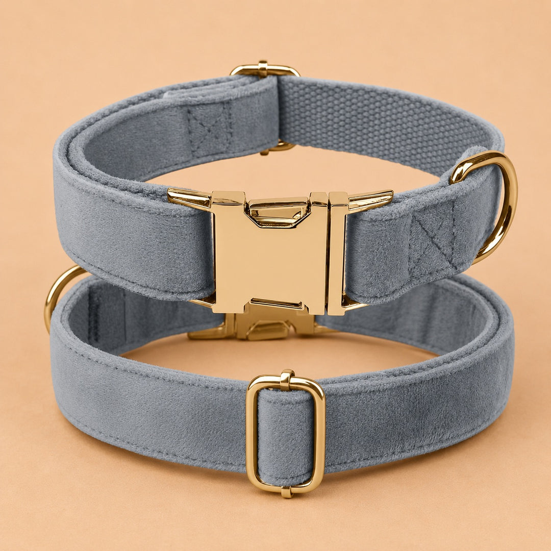 Engraved Pet Collar