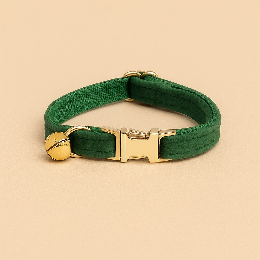 Personalized cat collar with name in green fabric featuring a gold buckle and bell