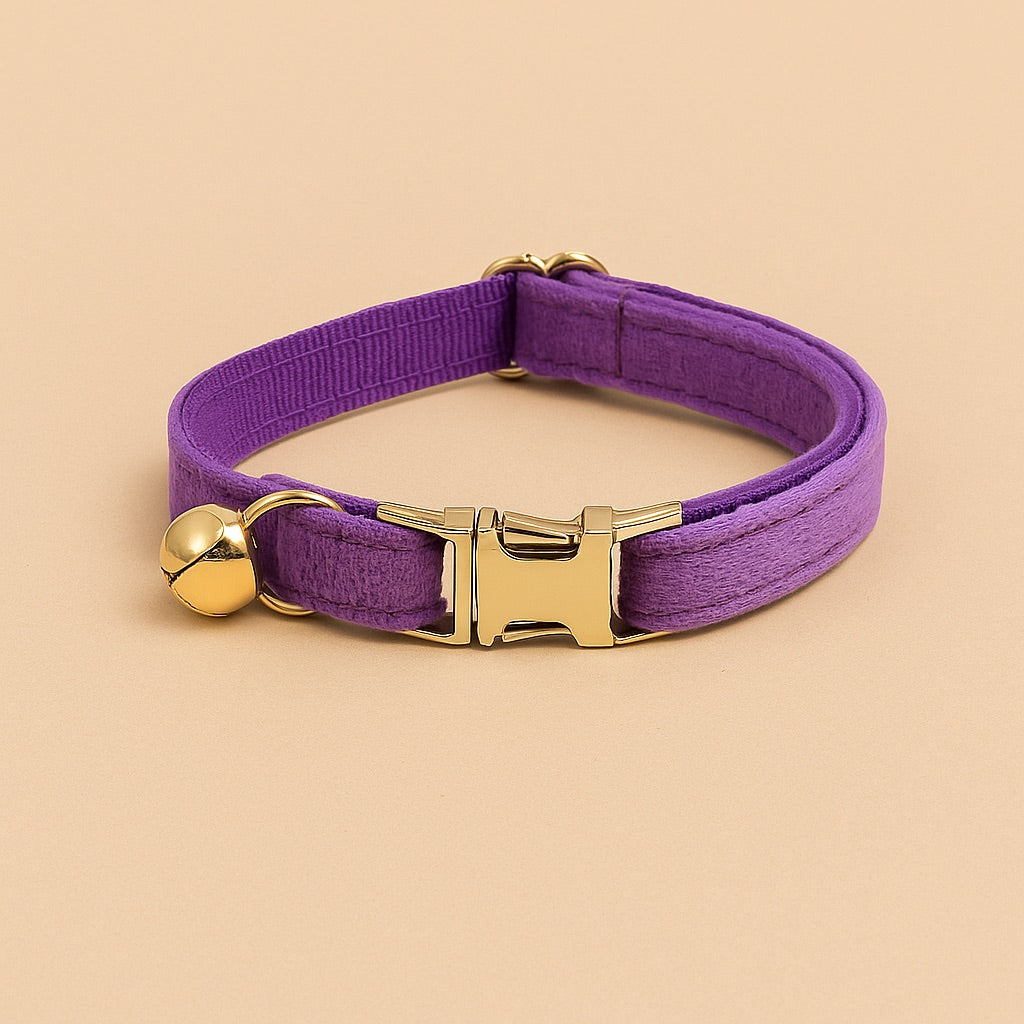 Personalized cat collar with name in purple featuring a gold bell and sturdy buckle