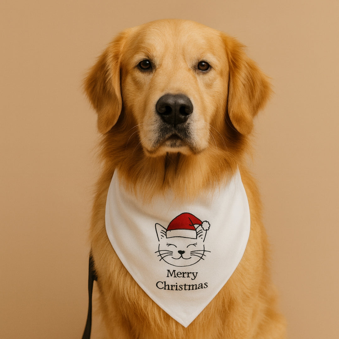 Golden Retriever wearing a premium printed dog scarf with a Merry Christmas design
