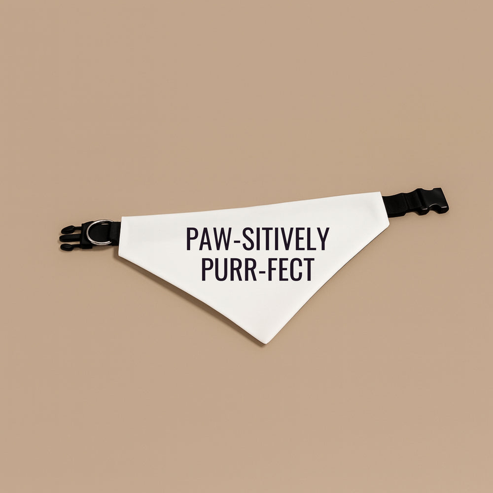 Premium printed dog scarf in white with black text reading Paw-sitively Purr-fect for stylish pets