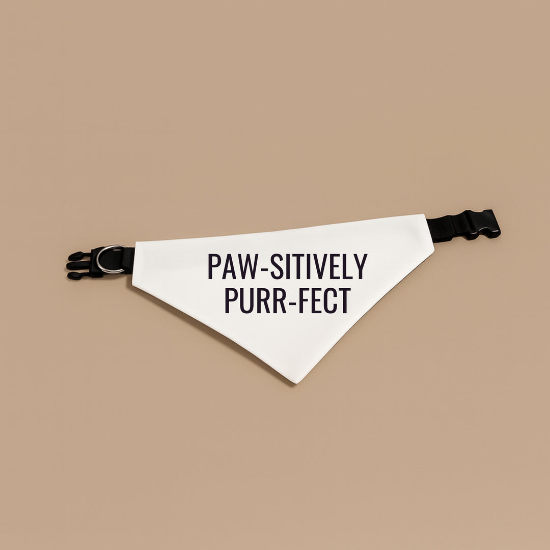 Premium printed dog scarf in white with black text reading Paw-sitively Purr-fect for stylish pets